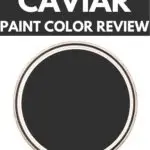 Caviar Paint Color Review graphic