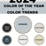 SW 2024 Colors Trending