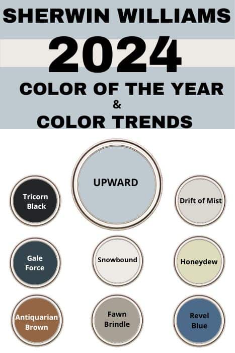 SW 2024 color trends graphic