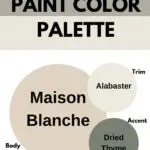 SW Paint Color Palette