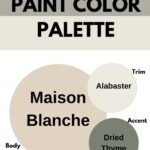 SW Paint Color Palette
