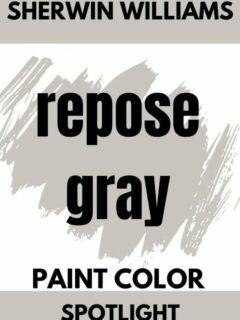 repose gray paint color graphic