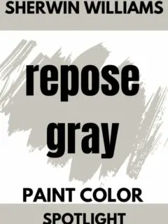repose gray paint color graphic
