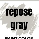 repose gray paint color graphic