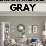 gray living room graphic