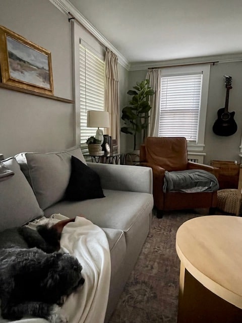 living room with gray couch