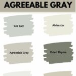 accent colors for agreeable gray