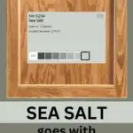 pinteres graphic of the paint color sea salt and a honey oal coloered cabinet door