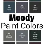 Moody Paint Colors graphic