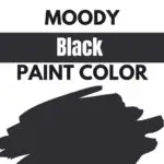 Black paint color pinterest graphic