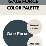gale force paint color Palette pinterest graphic