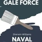 gale force vs naval pinterest graphic