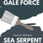 gale force vs sea serpent pinerest graphic