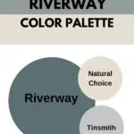 riverway paint color Palette pinterest graphic