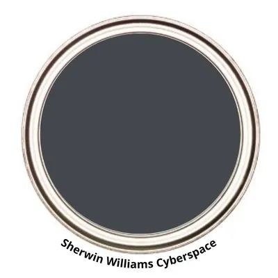 Cyberspace digital paint can swatch