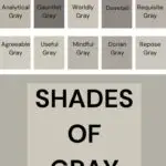 10 best shades of gray- Sherwin Williams pinterest graphic