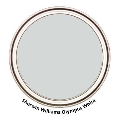 Olympus White Digital Paint Can swatch