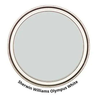 Olympus White Digital Paint Can swatch