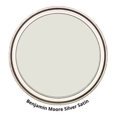 Silver Satin Digital Paint Can swatch