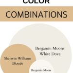 Basement color combinations