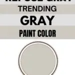 repose gray pinterest graphic