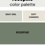 BM rosepine color palette