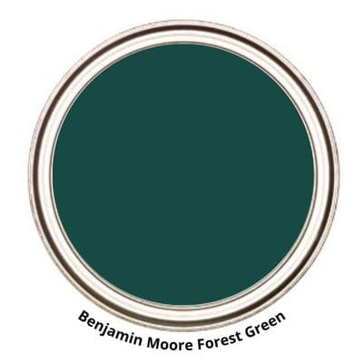 Benjamin Moore Forest paint can swatch