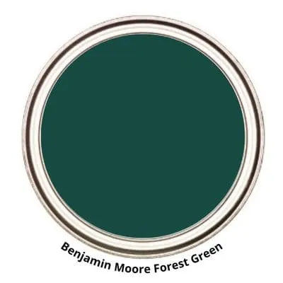 Benjamin Moore Forest paint can swatch