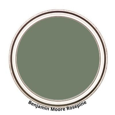 Benjamin Moore Rosepine digital paint can swatch