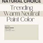 Sherwin williams paint color Natural Choice Pinterest graphic