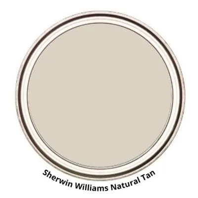 Natural Tan Digital Paint Can swatch