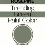 rosepine paint color pinterest graphic