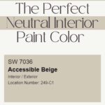 SW Accessible Beige Pinterest Graphic