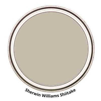 Shiitake Digital Paint Can swatch 