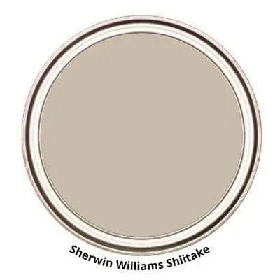 Shiitake Digital Paint Can swatch 