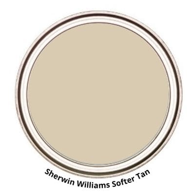 Softer Tan Digital Paint Can swatch