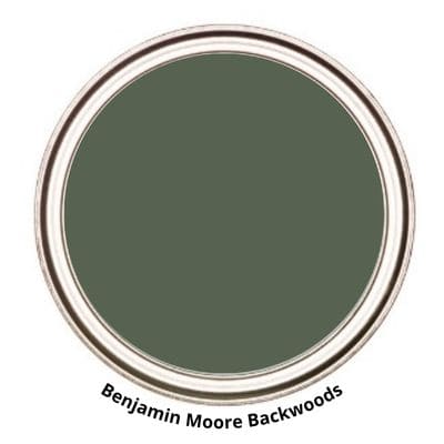 benjamin moore backwoods digital paint can swatch 