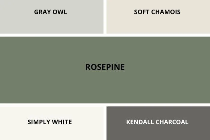 rosepine color palette