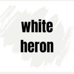 BM White Heron Paint Color Spotlight - Pinterest Graphic