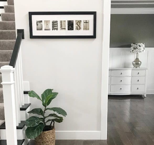 White walls in a entry way with a staircase and plant