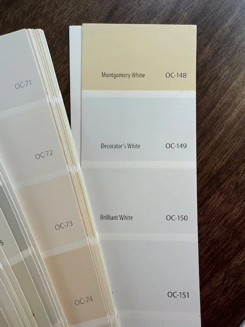 decorator's white paint chip in paint book