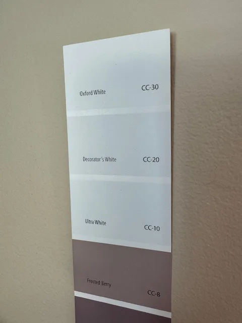 decorator's white paint chip in paint book