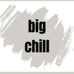 SW Big Chill Paint Color Spotlight - Pinterest Graphic