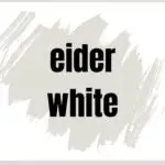 SW Eider White Paint Color Spotlight - Pinterest Graphic