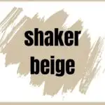 Shaker BEige organic modern paint color