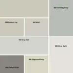 Benjamin Moore Gray Paint colors - digital swatches