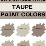 Benjamin Moore warm neutral Taupe paint colors