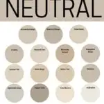 Warm Neutral Paint Colors pinterest graphic