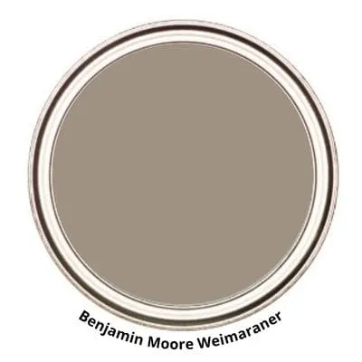 Weimaraner Digital Paint Can swatch