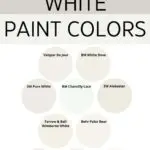 White Exterior Paint Colors pinterest graphic